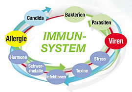Cellfood für ein stabiles Immunsystem